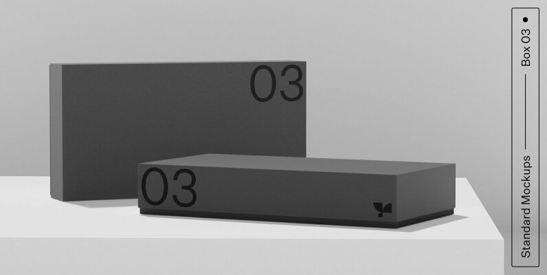 Box 03 Standard Mockup