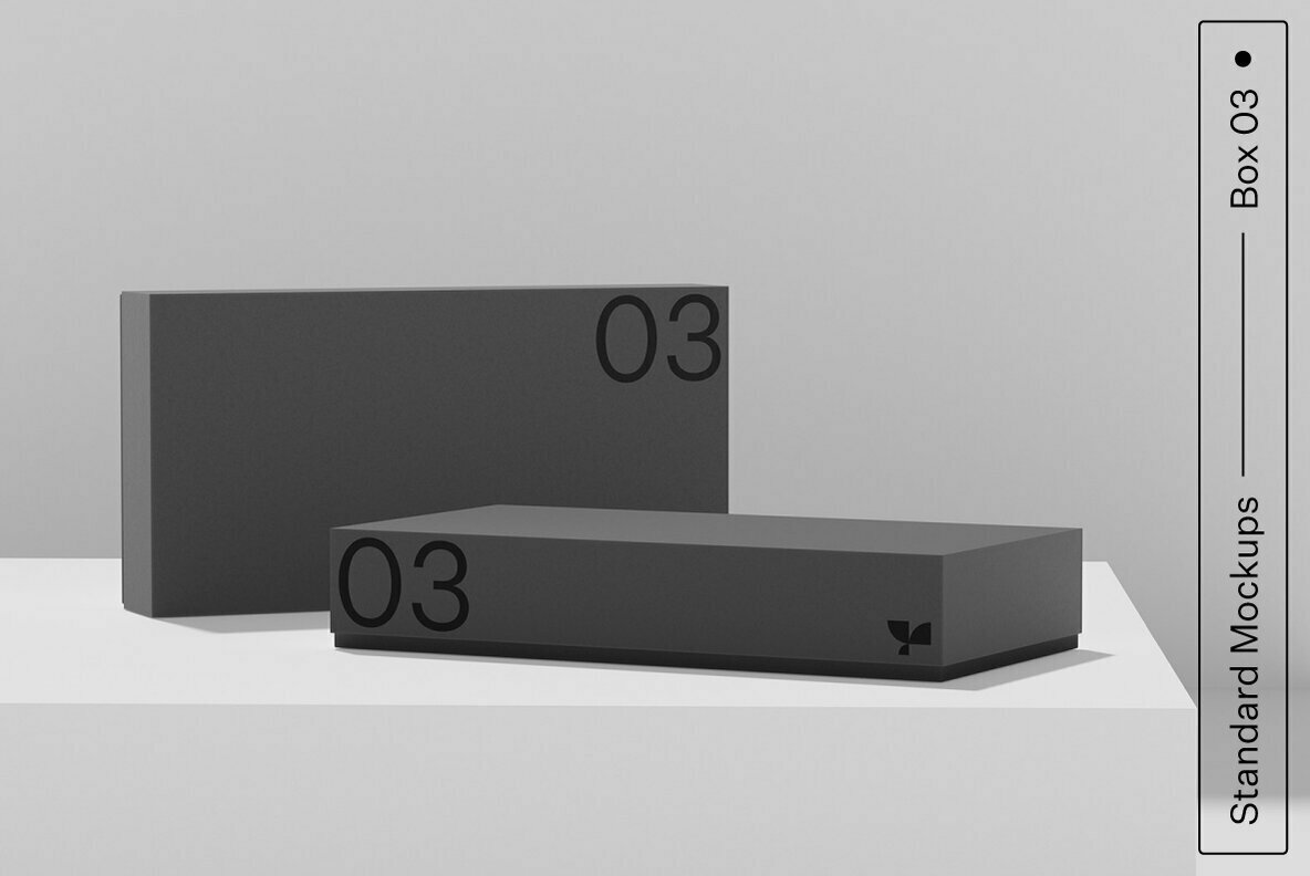 Box 03 Standard Mockup Box 03 Standard Mockup