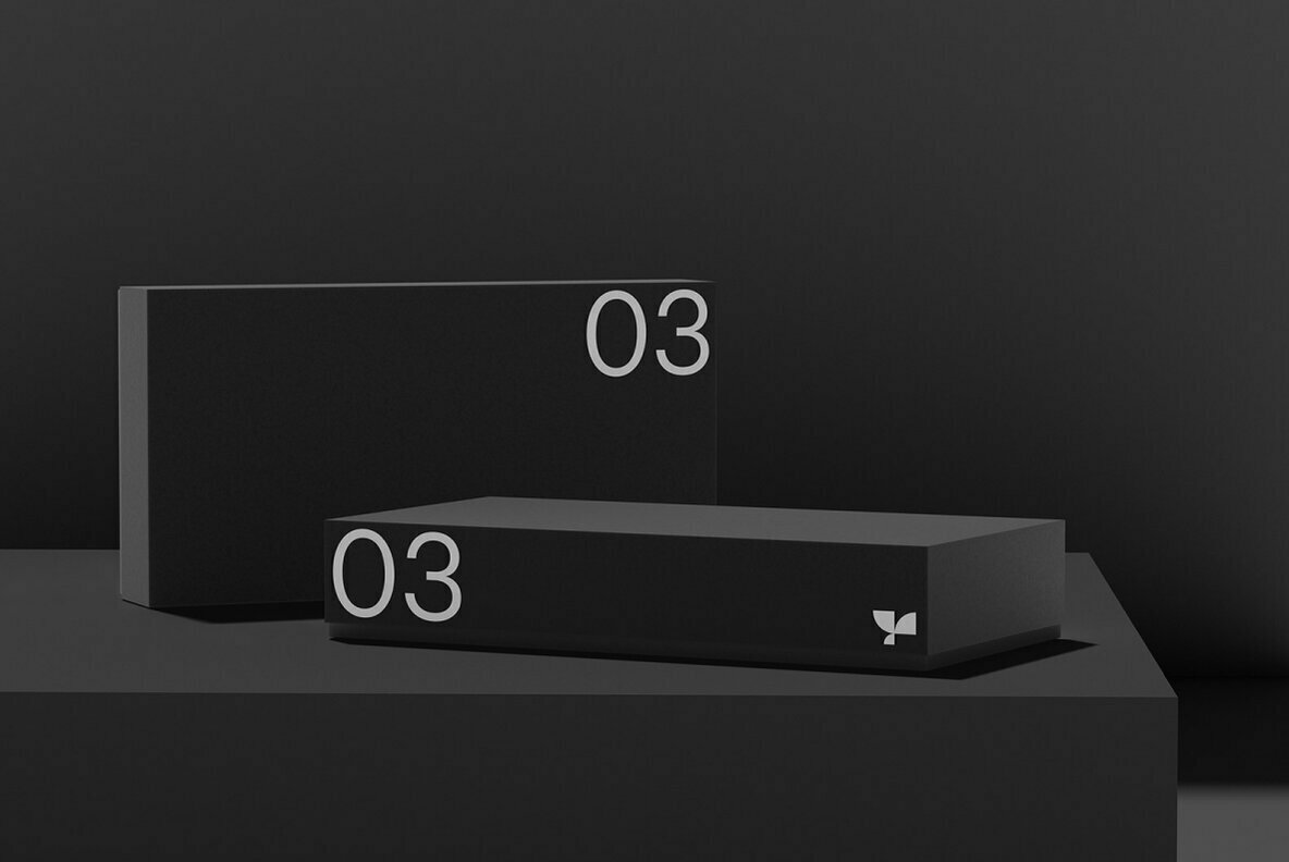 Box 03 Standard Mockup Box 03 Standard Mockup