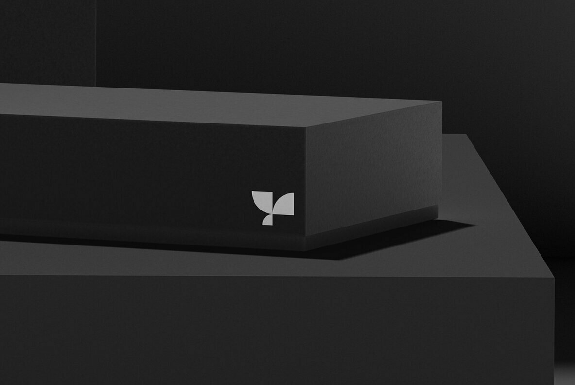 Box 03 Standard Mockup Box 03 Standard Mockup