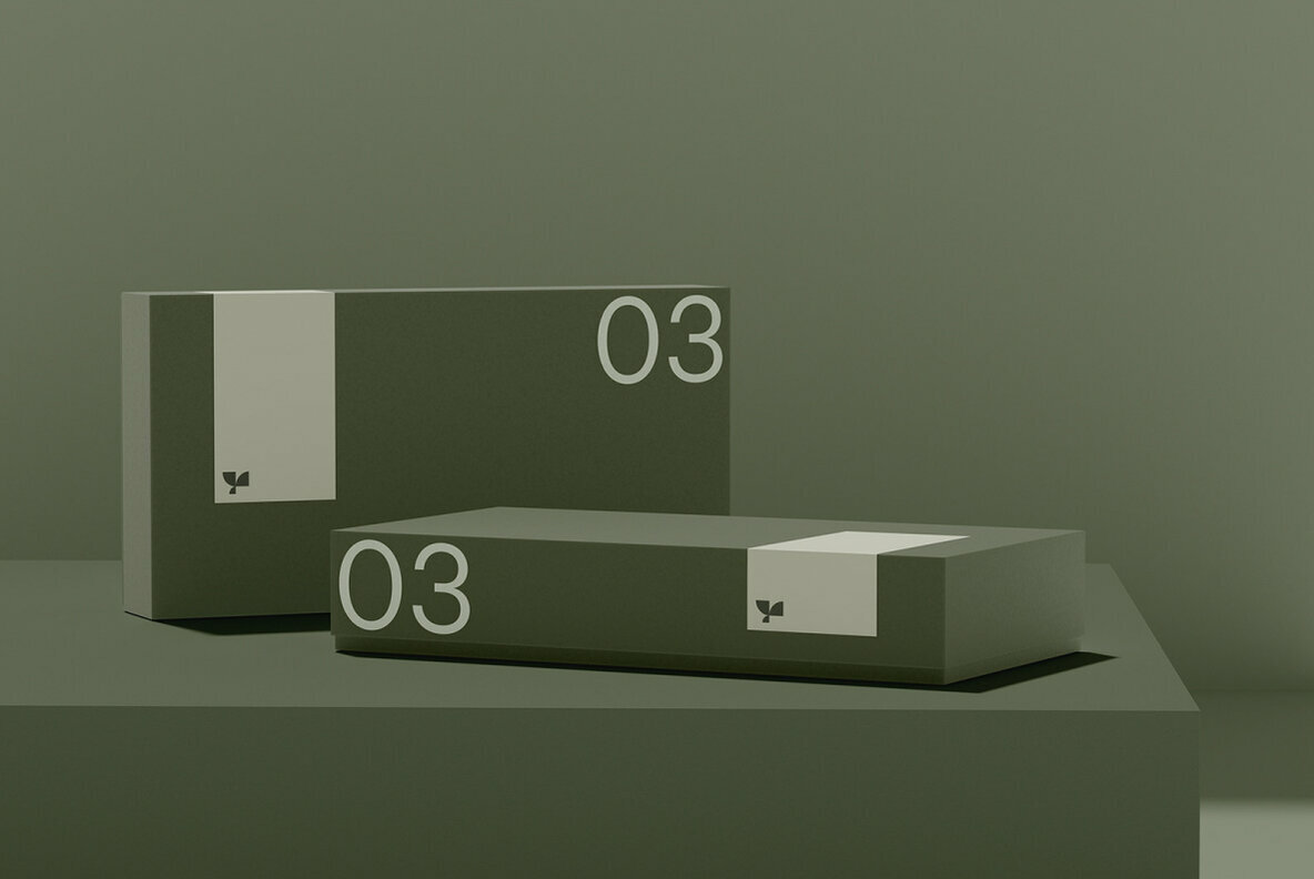 Box 03 Standard Mockup Box 03 Standard Mockup