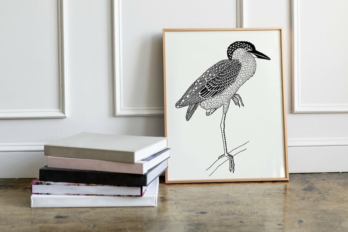 Hand Drawn Illustrations of Birds 5