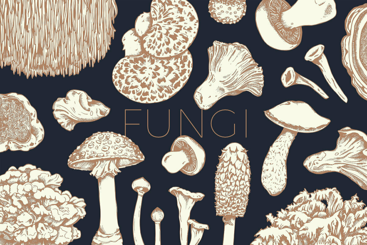 Fungi 1