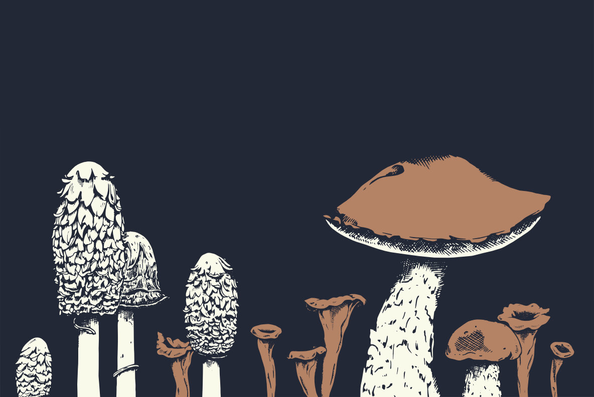 Fungi 6