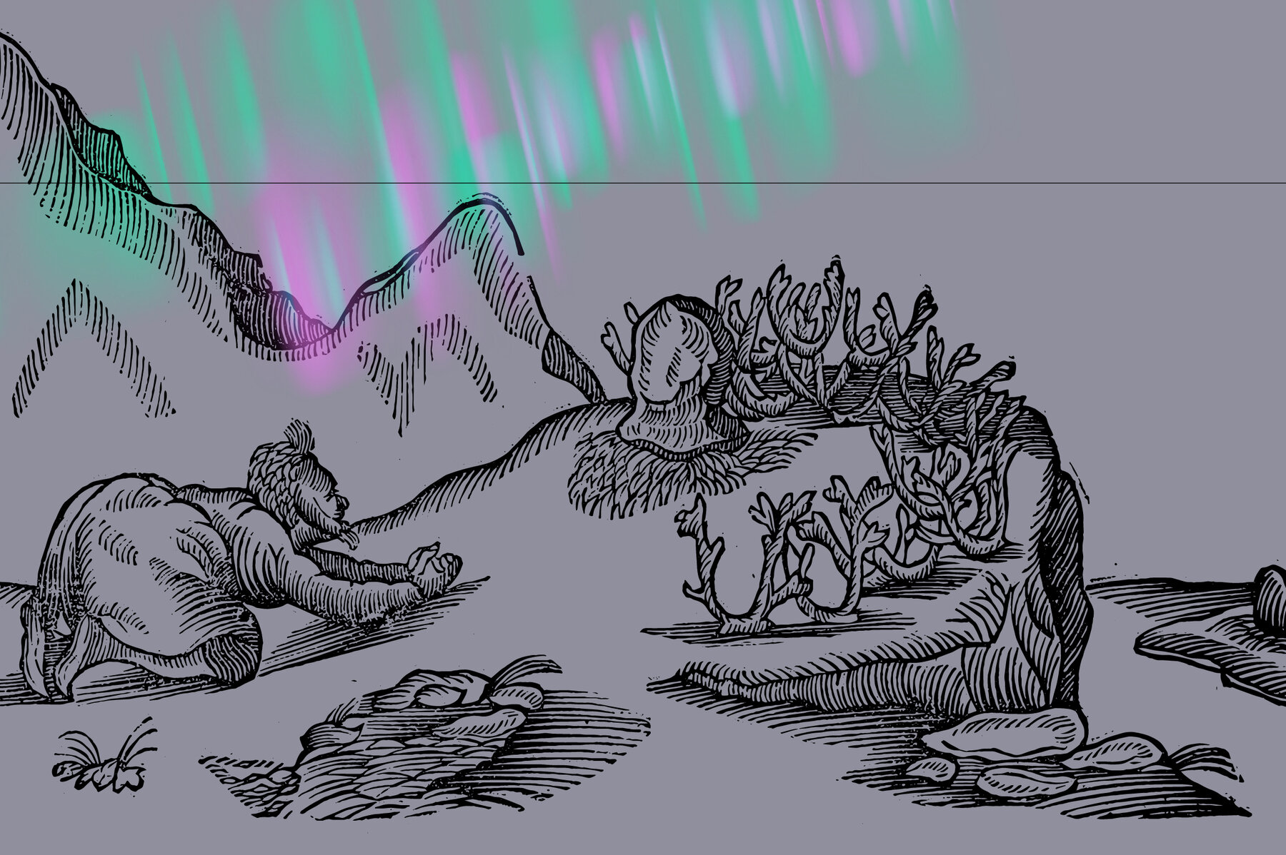 Lapponia Illustrated Life in Lapland 9