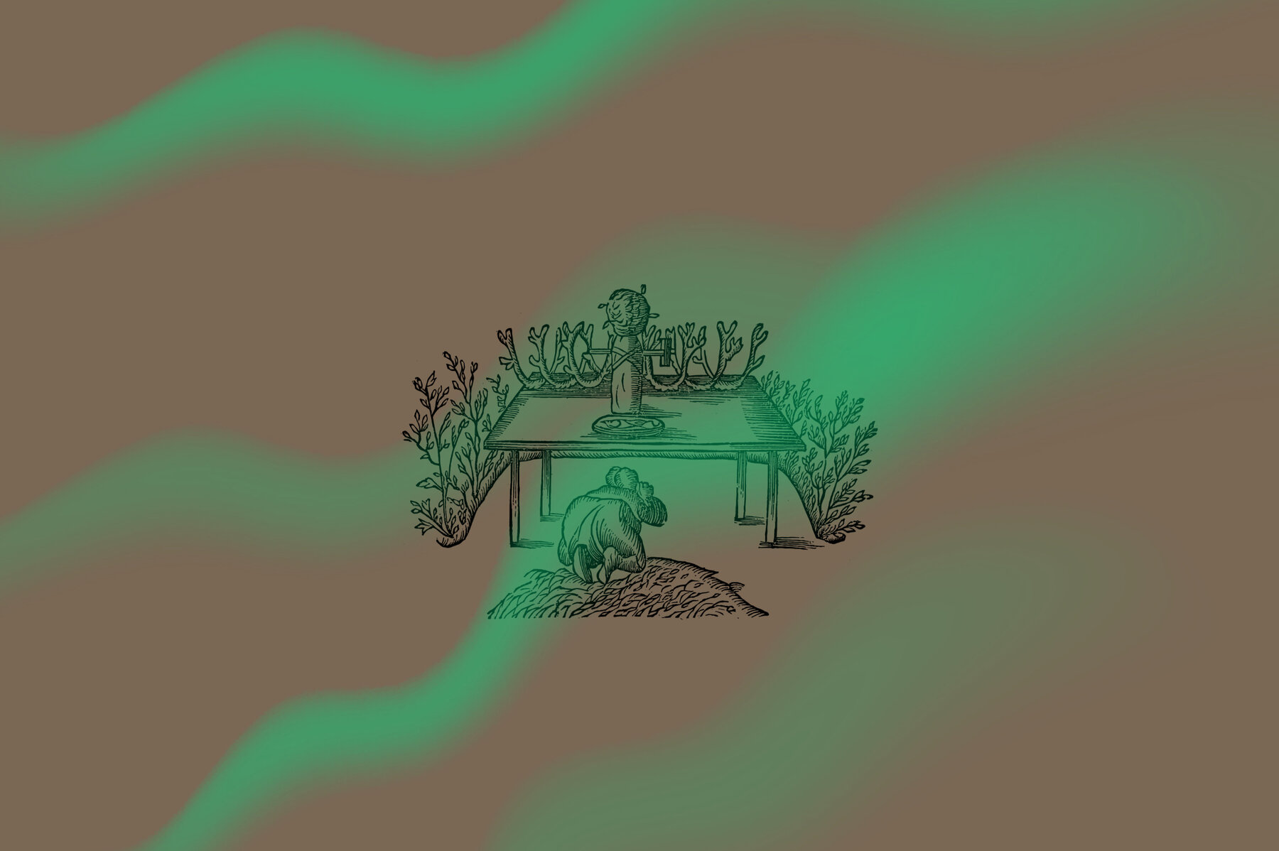 Lapponia Illustrated Life in Lapland 12