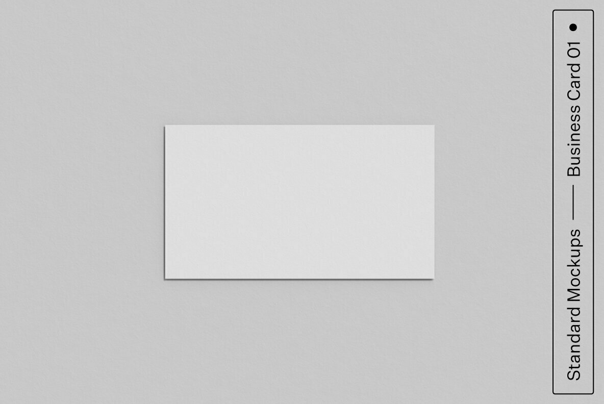 Print Standard Mockup Bundle 2