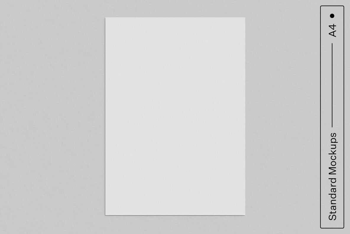 Print Standard Mockup Bundle 11