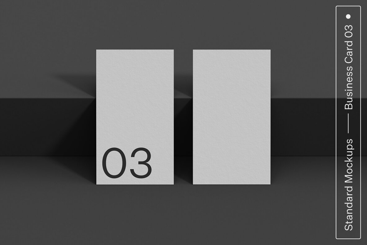 Print Standard Mockup Bundle 16