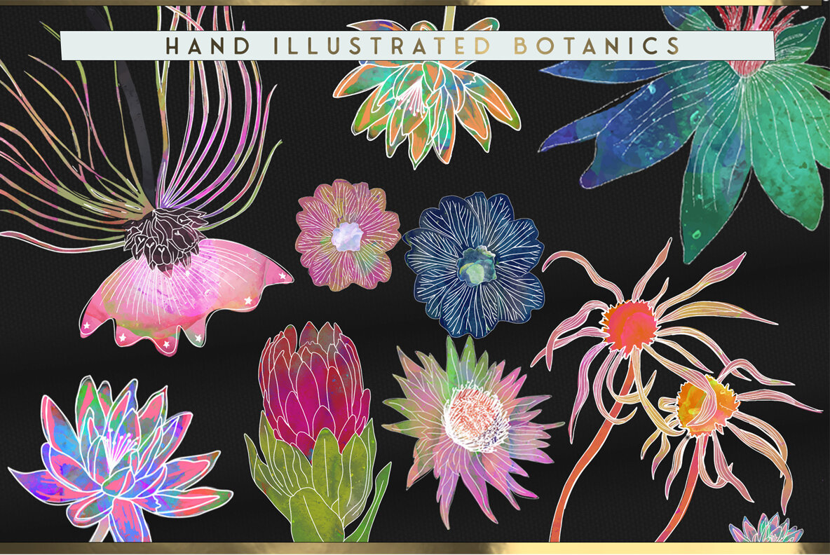 Interstella Mystic Illustrations Kit 6