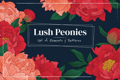 Lush Peonies