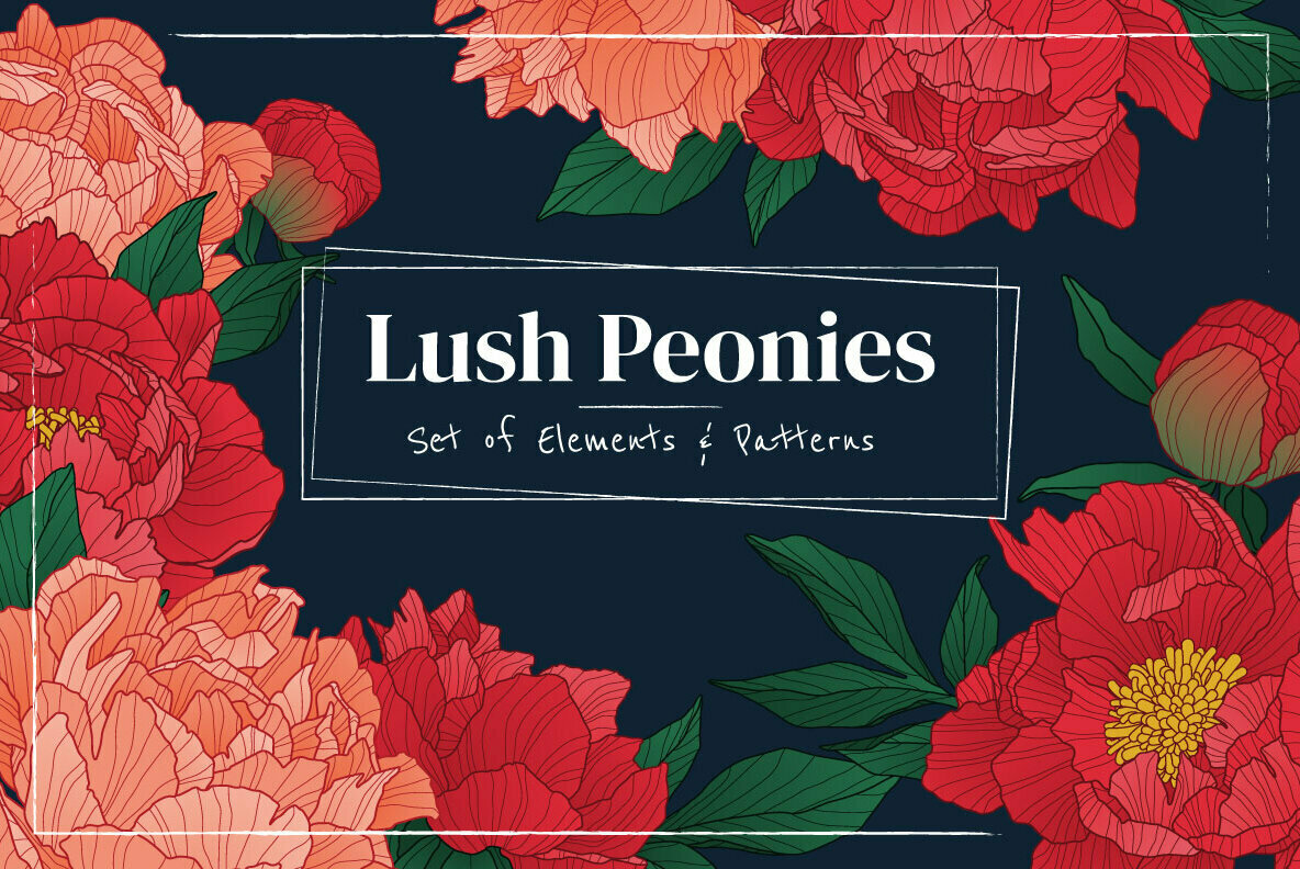 Lush Peonies 1