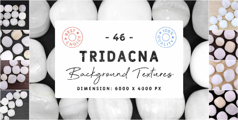 46 Tridacna Background Textures