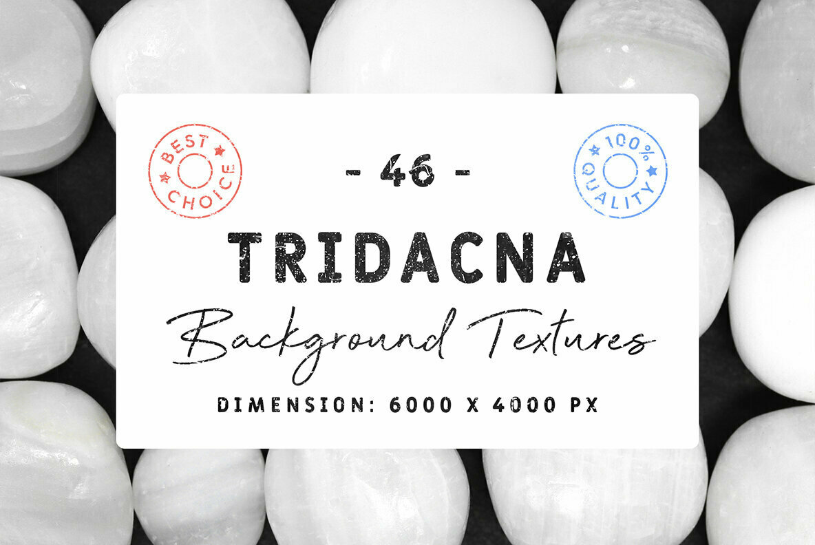 46 Tridacna Background Textures 1