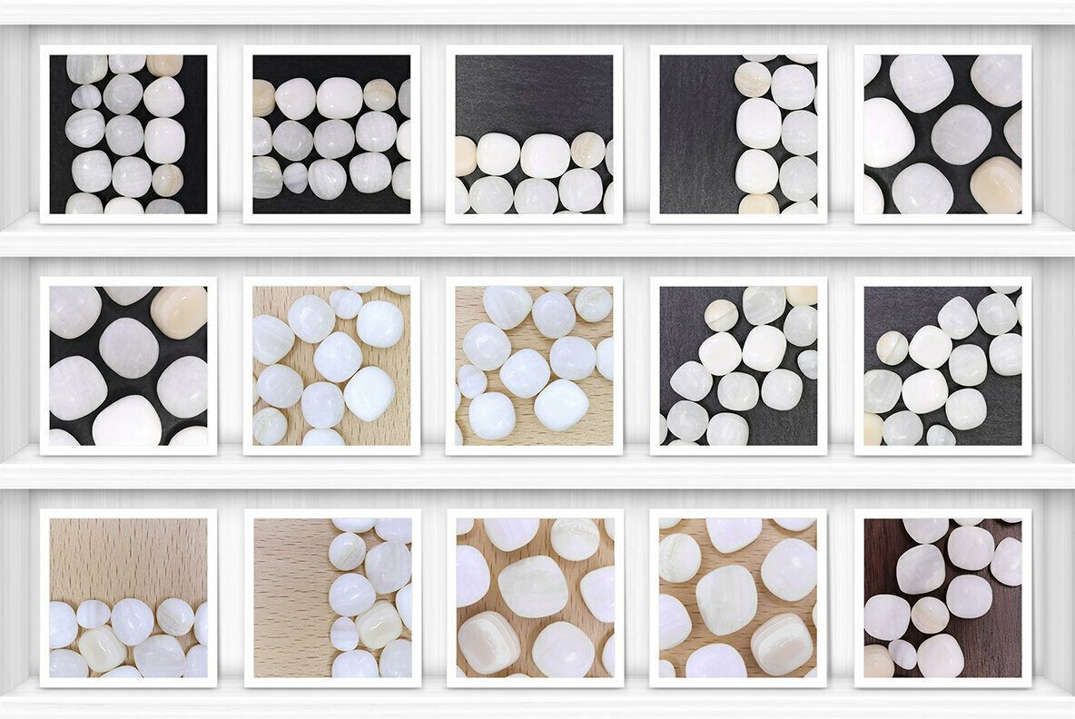 46 Tridacna Background Textures 2