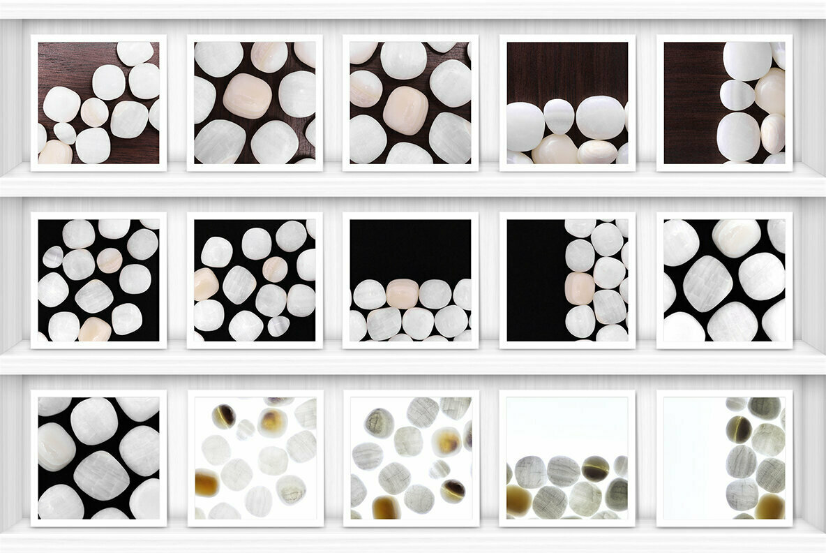 46 Tridacna Background Textures 3