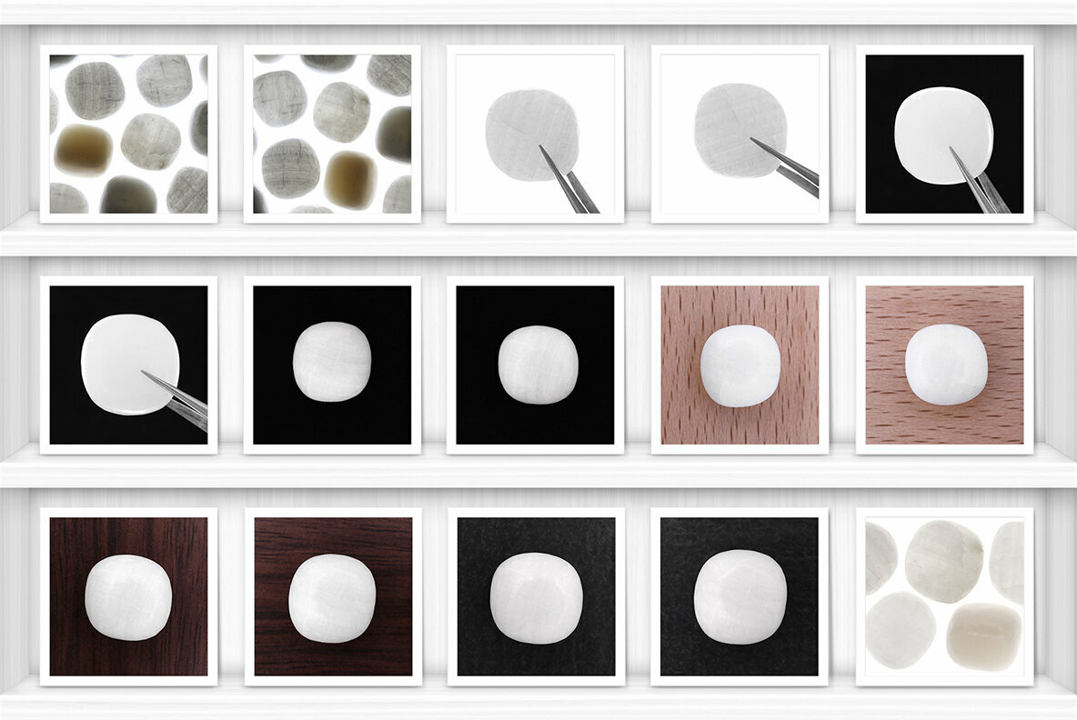 46 Tridacna Background Textures 4