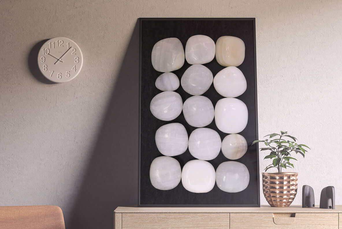 46 Tridacna Background Textures 6