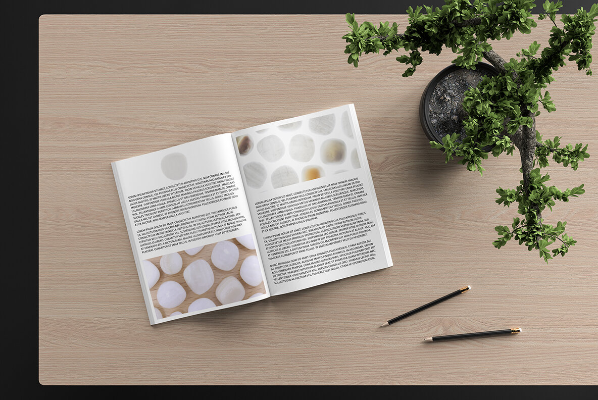 46 Tridacna Background Textures 8