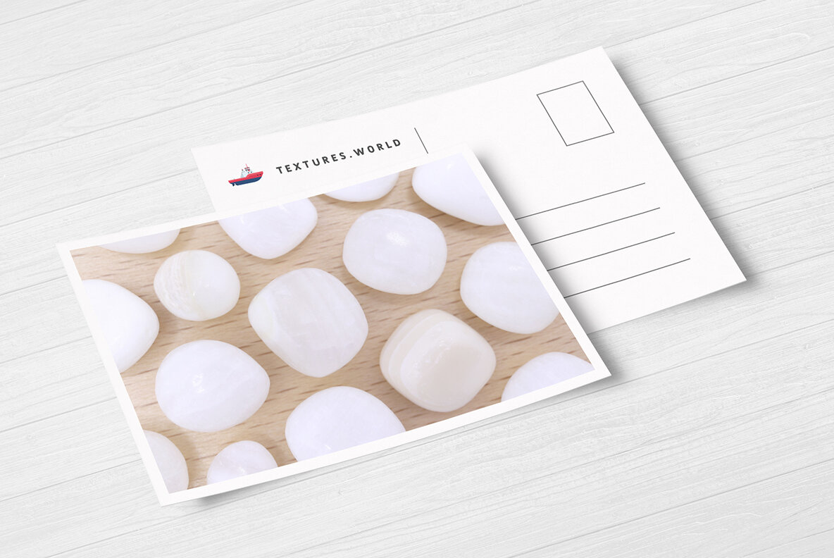 46 Tridacna Background Textures 11