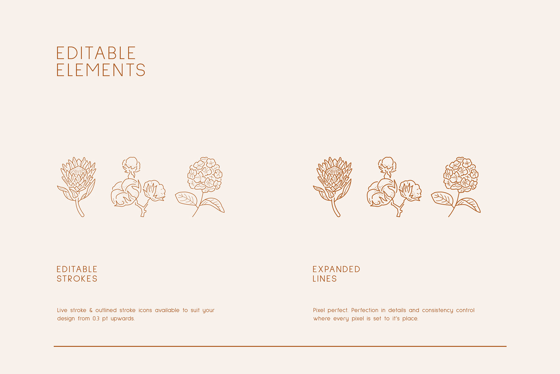 Floral Logo Kit 23