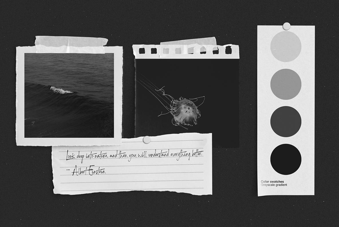 Graphite Moodboard Scene Creator 7