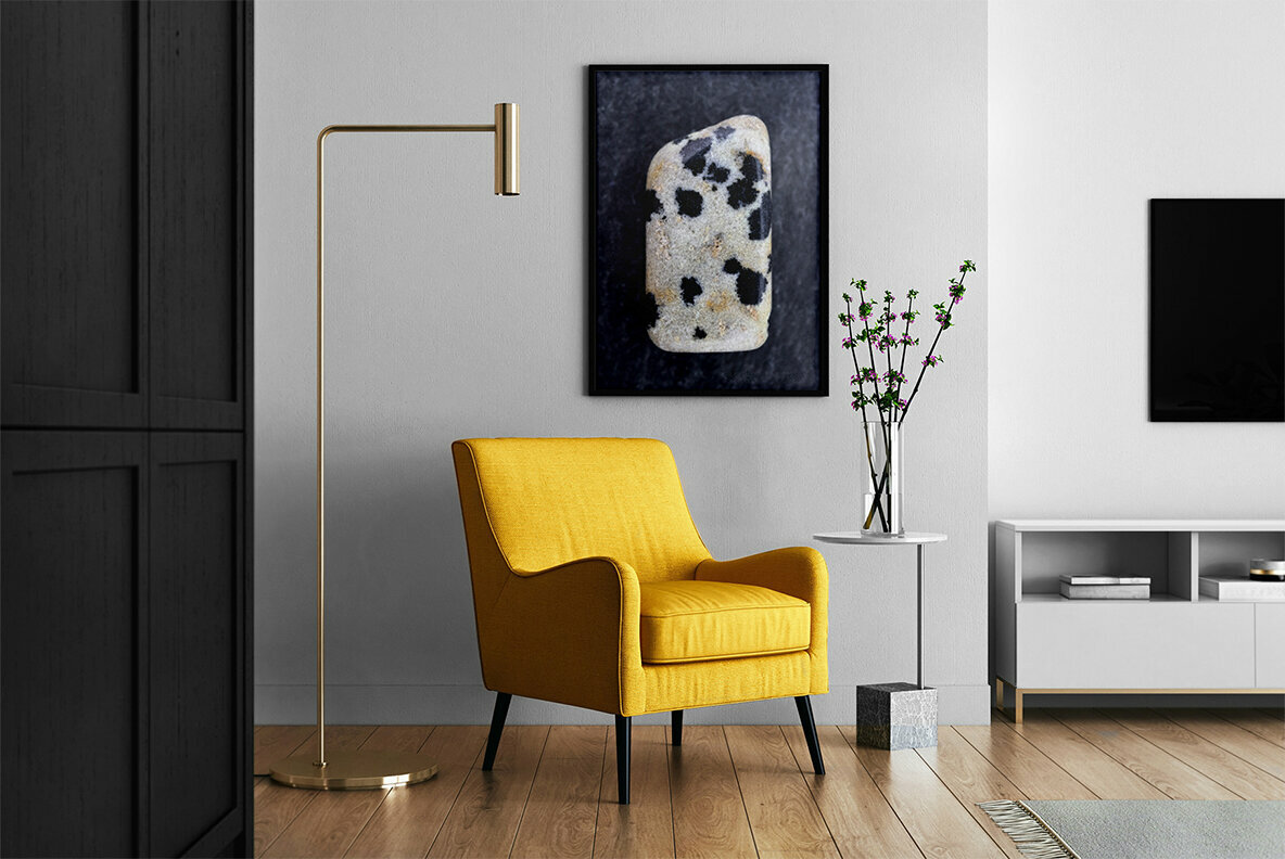 46 Dalmatian Jasper Background Textures 5