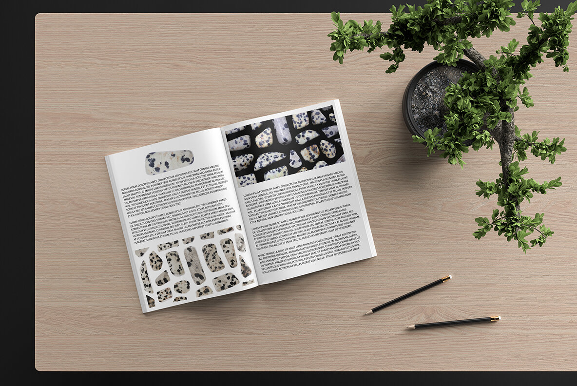 46 Dalmatian Jasper Background Textures 8