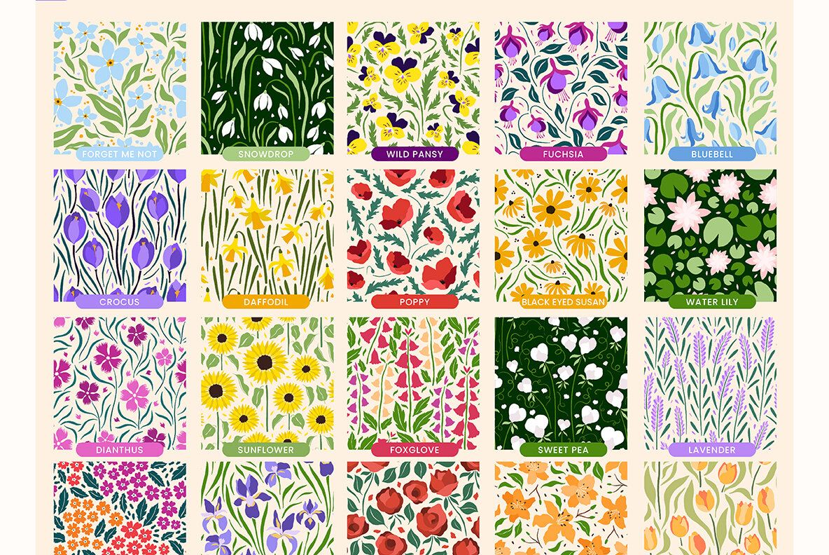 Flower Gallery Garden Edition 7