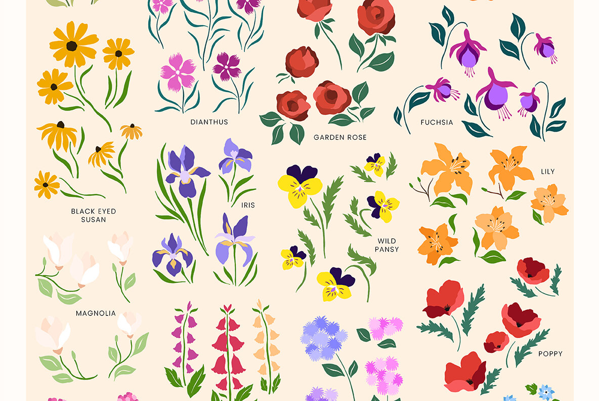 Flower Gallery Garden Edition 12