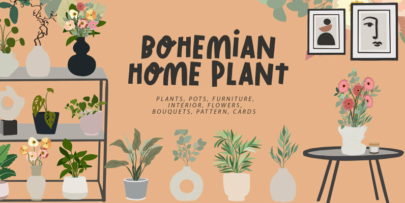 BOHEMIAN HOME PLANT