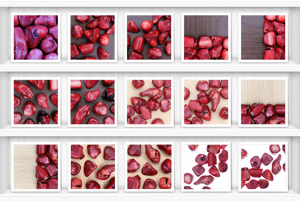 52 Red Coral Background Textures 3