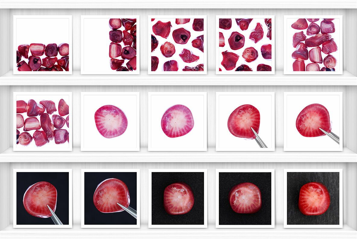 52 Red Coral Background Textures 4