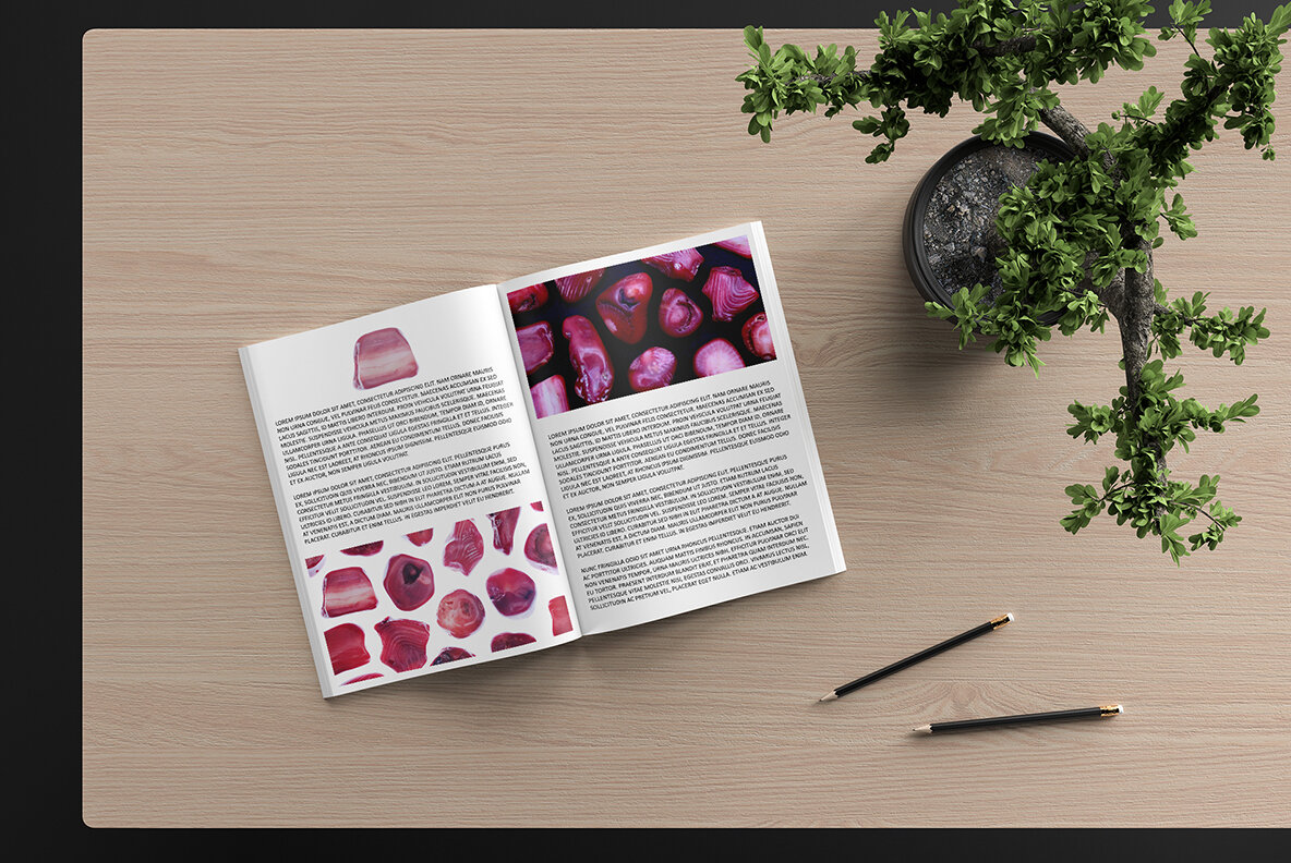 52 Red Coral Background Textures 8