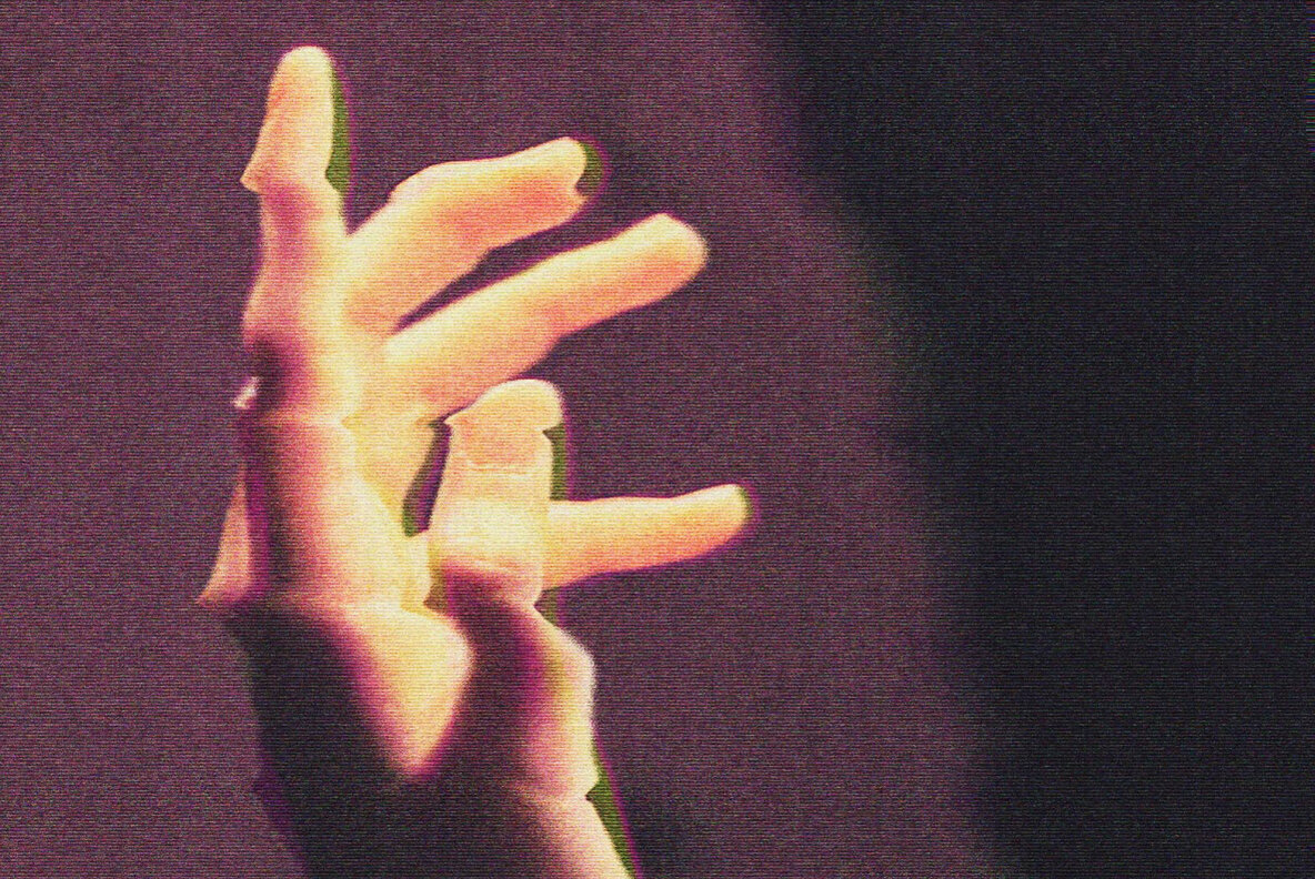 Transform Collection 01   Analog 4