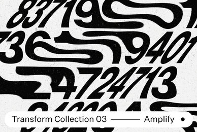Transform Collection 03   Amplify