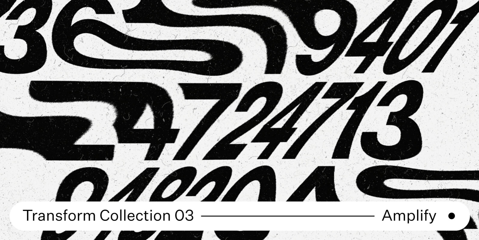 Transform Collection 03 - Amplify Transform Collection 03 - Amplify