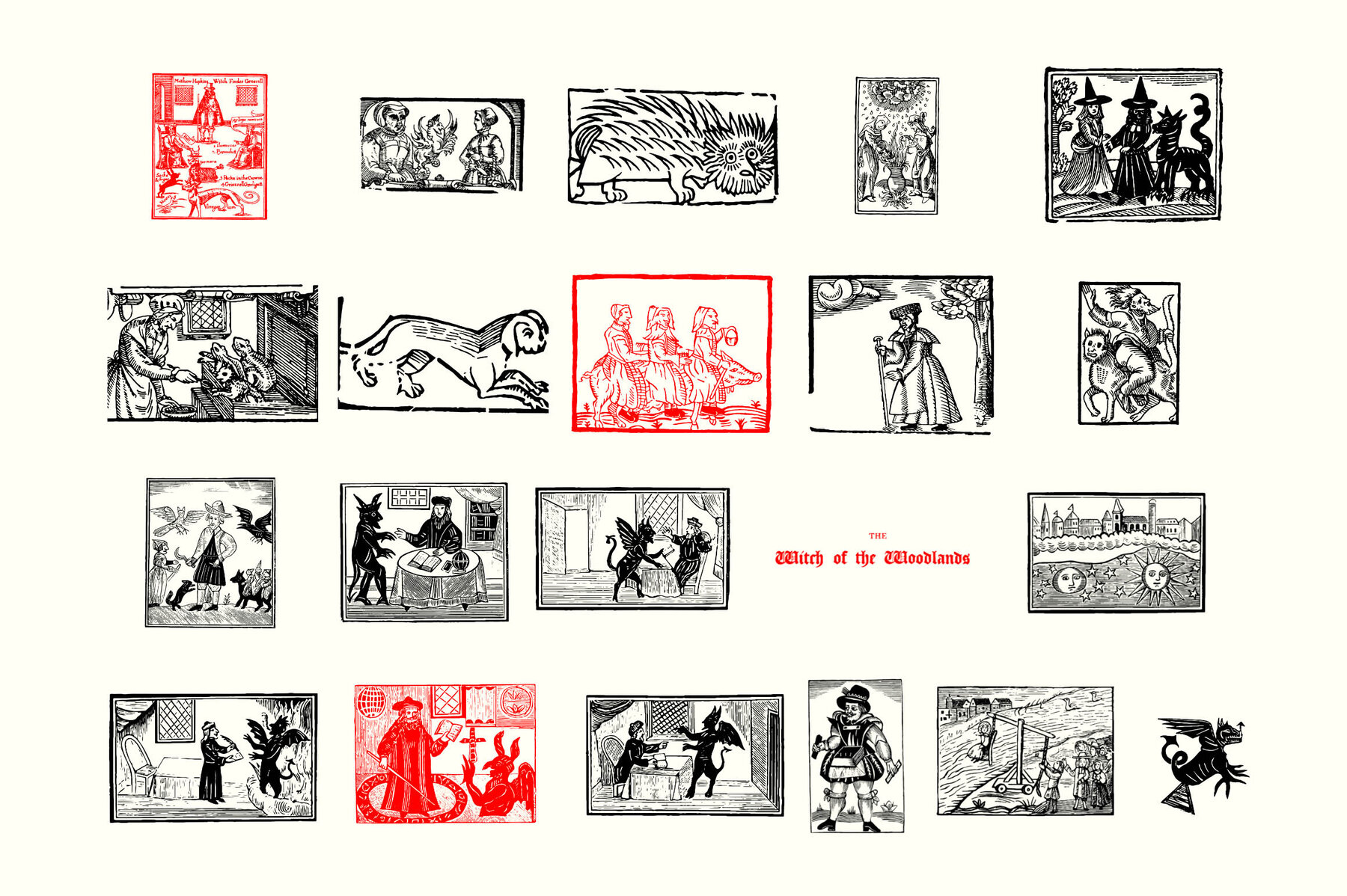 Witches   Wizards 13