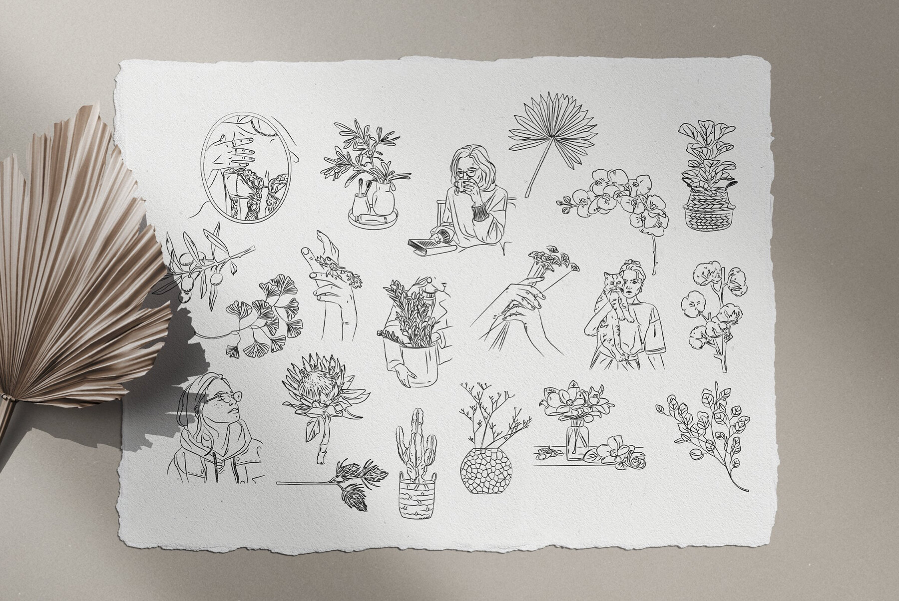 Bohemian Illustration Set 8