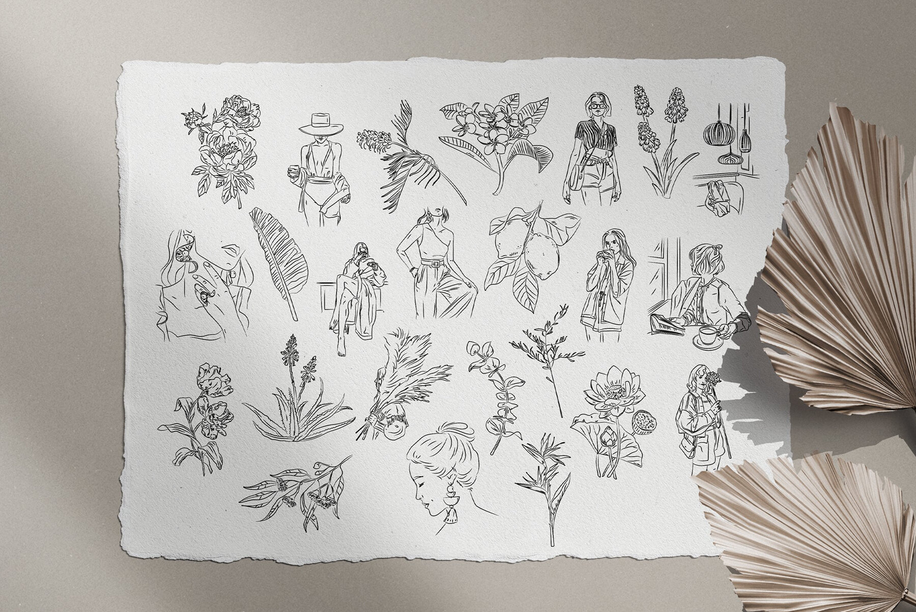 Bohemian Illustration Set 11