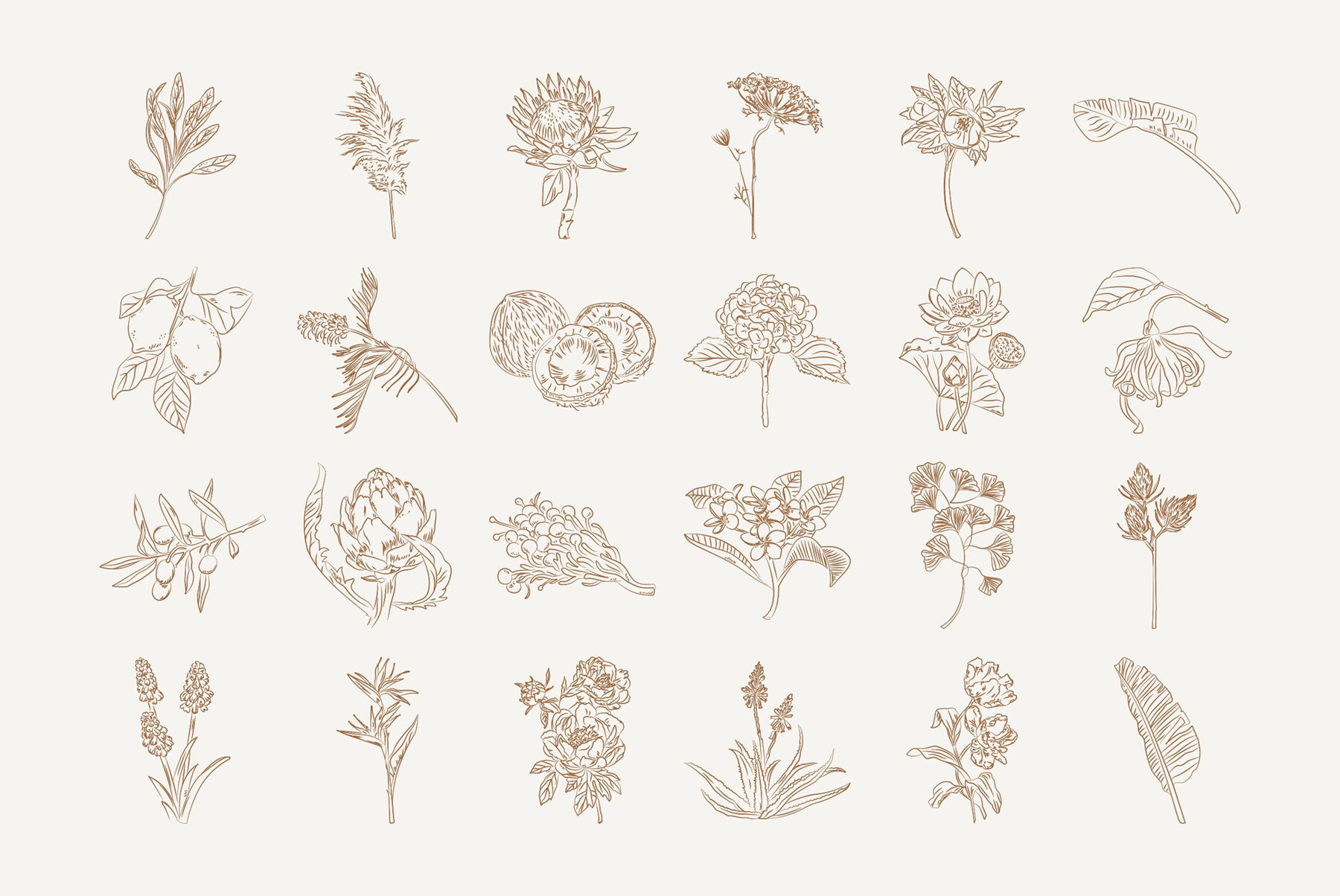 Bohemian Illustration Set 15