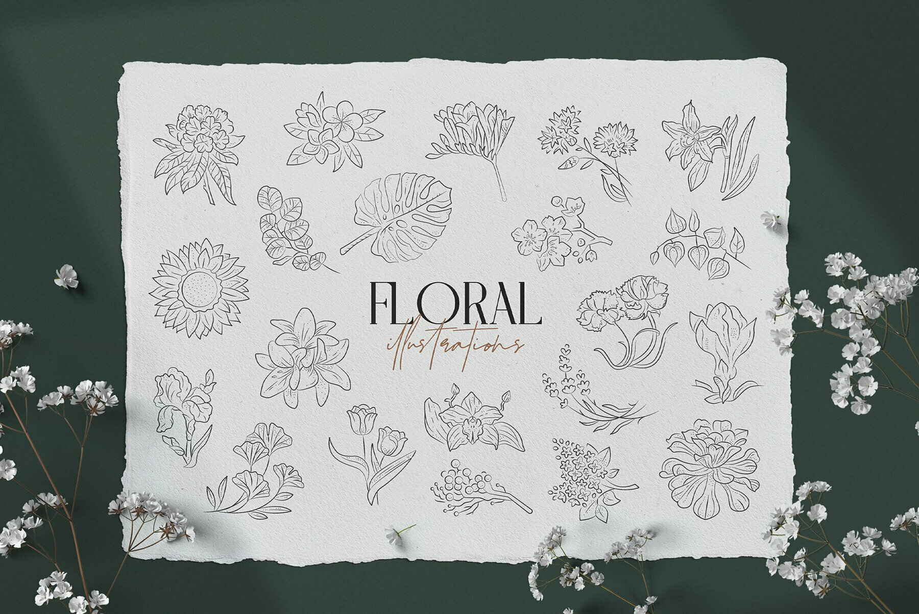 Floral Illustration Set 2