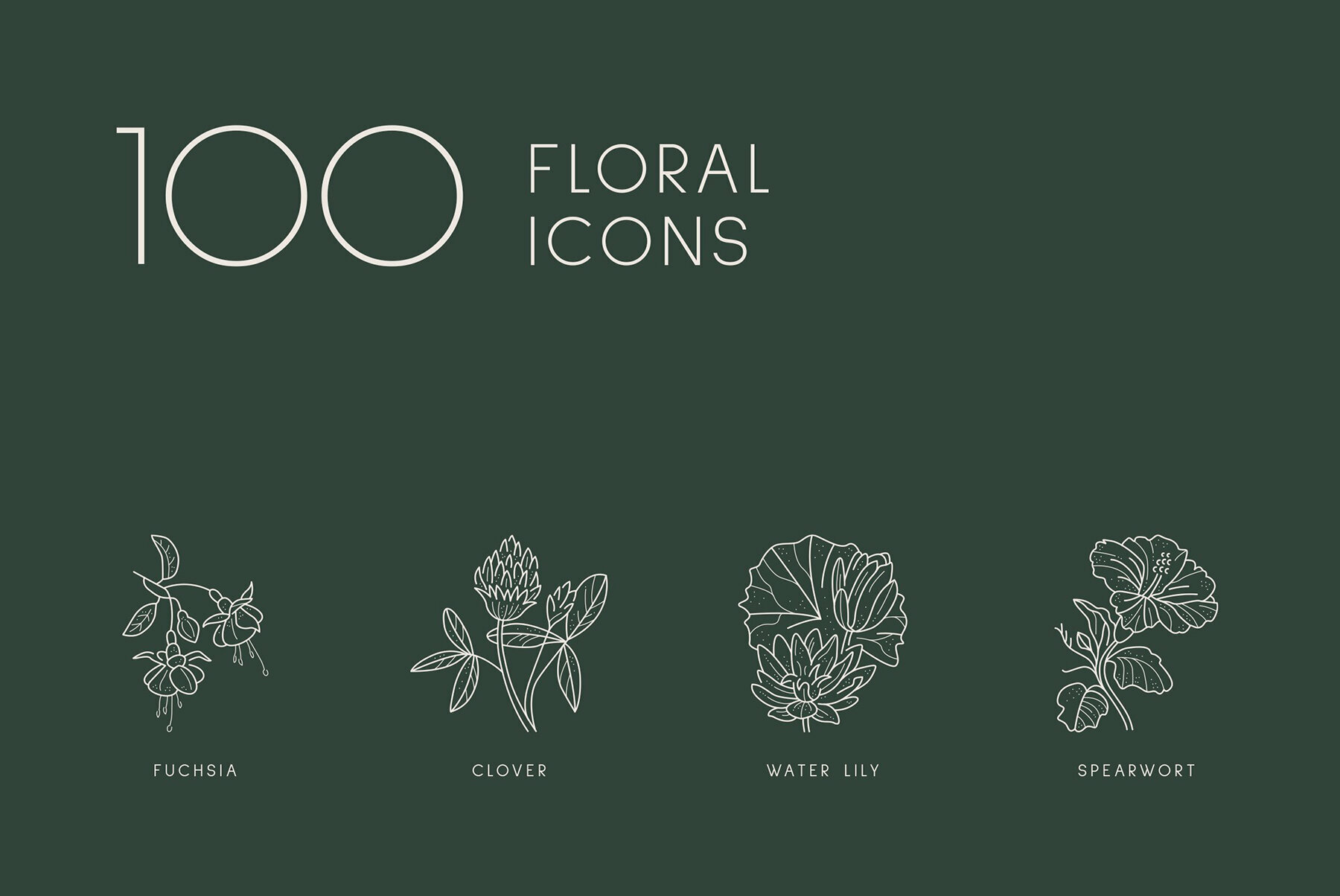 Floral Illustration Set 4