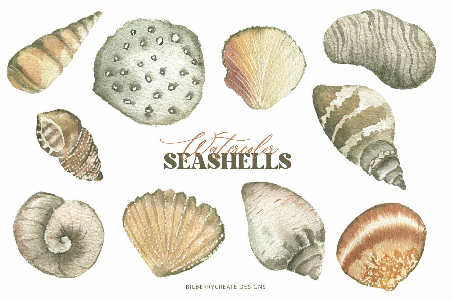 Watercolor Seashells Art Set 4