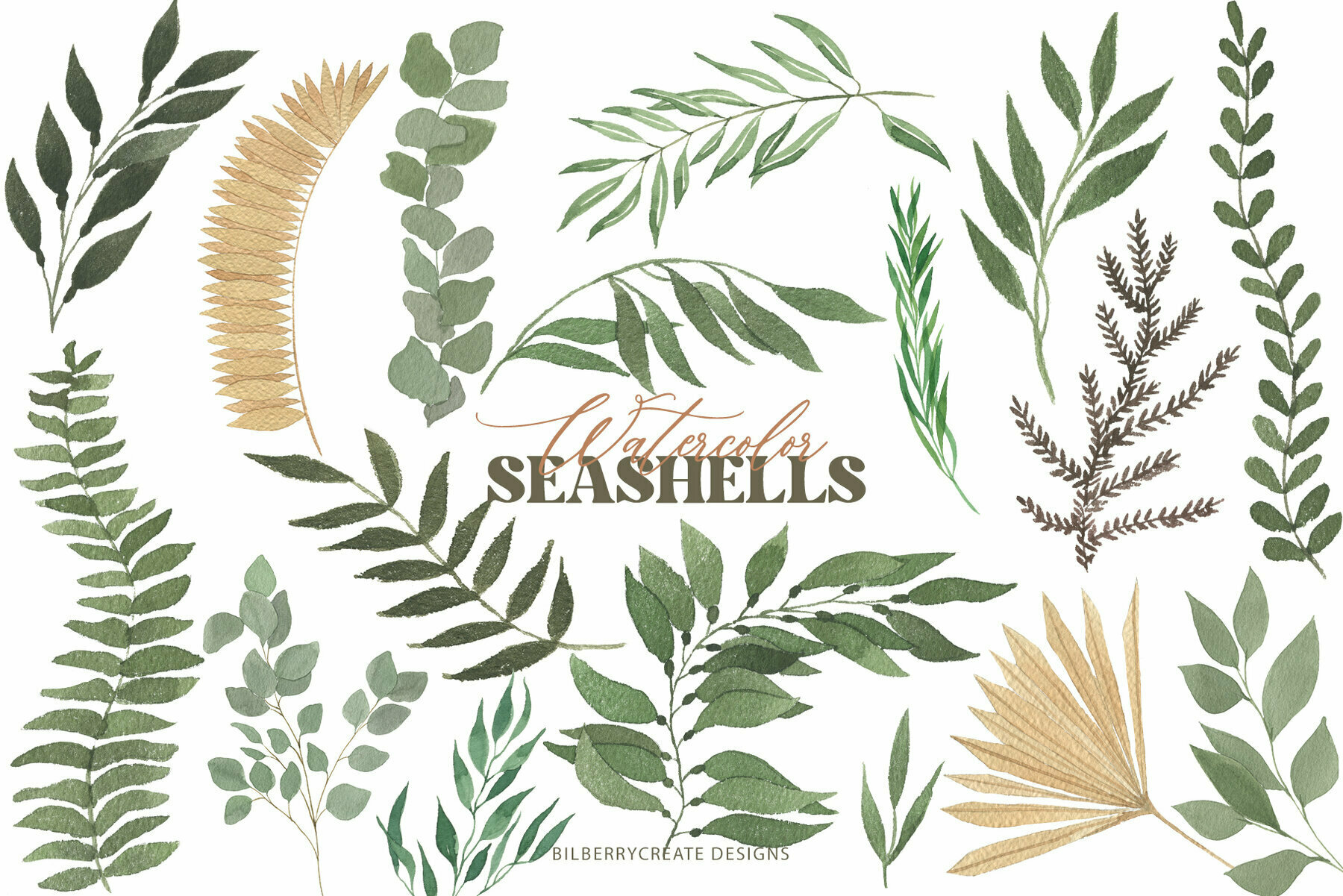 Watercolor Seashells Art Set 5