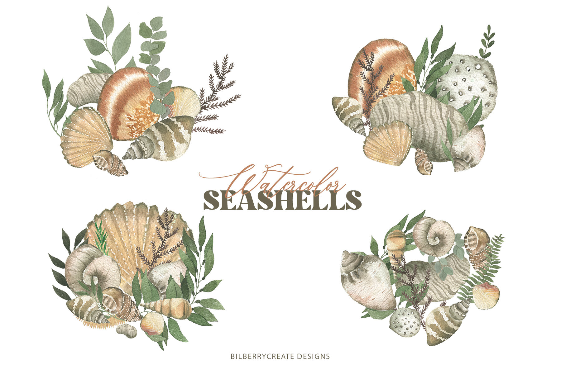 Watercolor Seashells Art Set 6