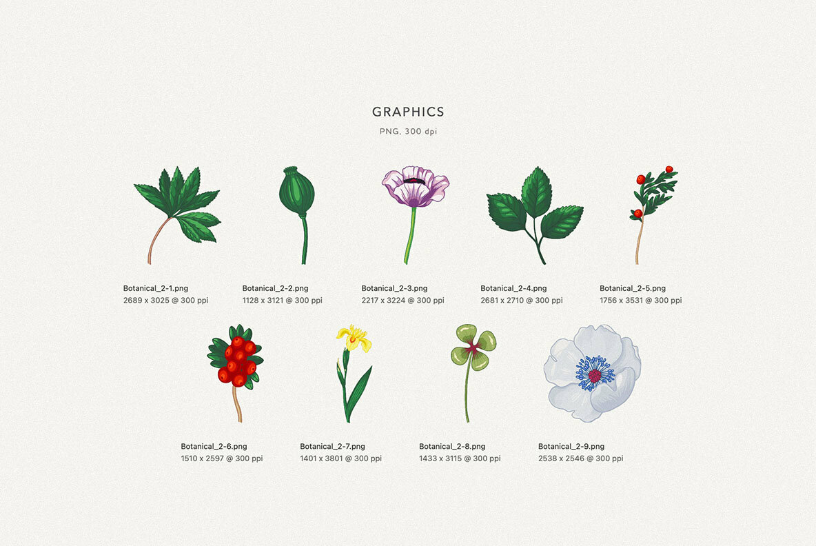 Rose   Berry Patterns 5