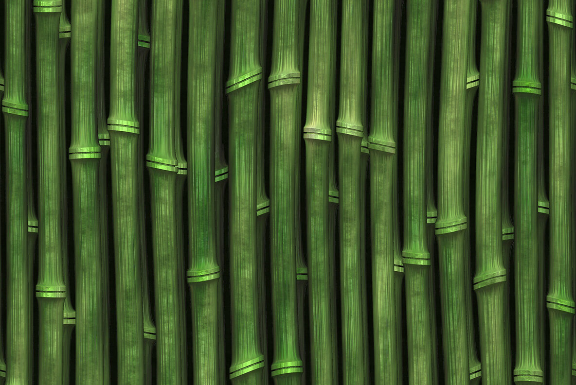Bamboo Textures 5