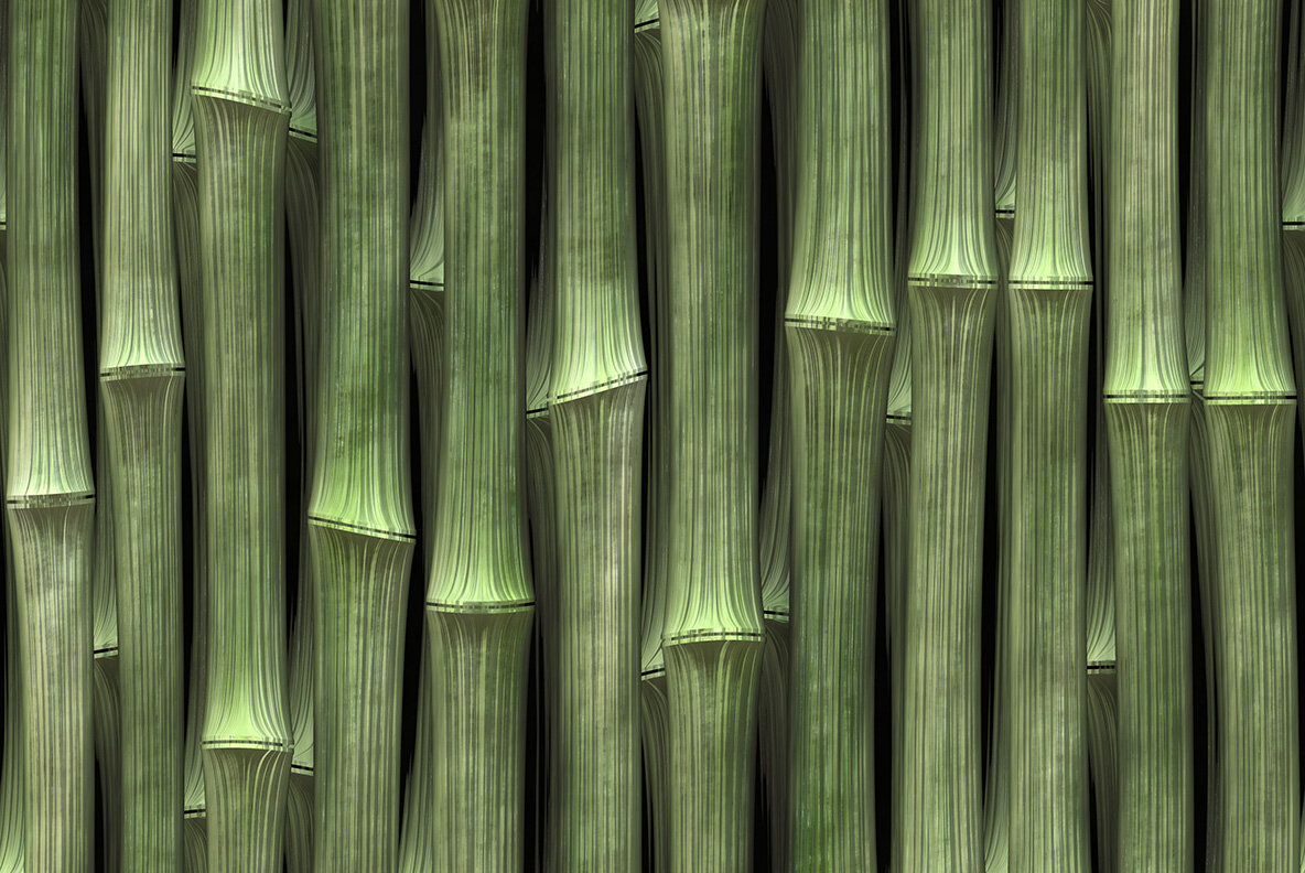 Bamboo Textures 6