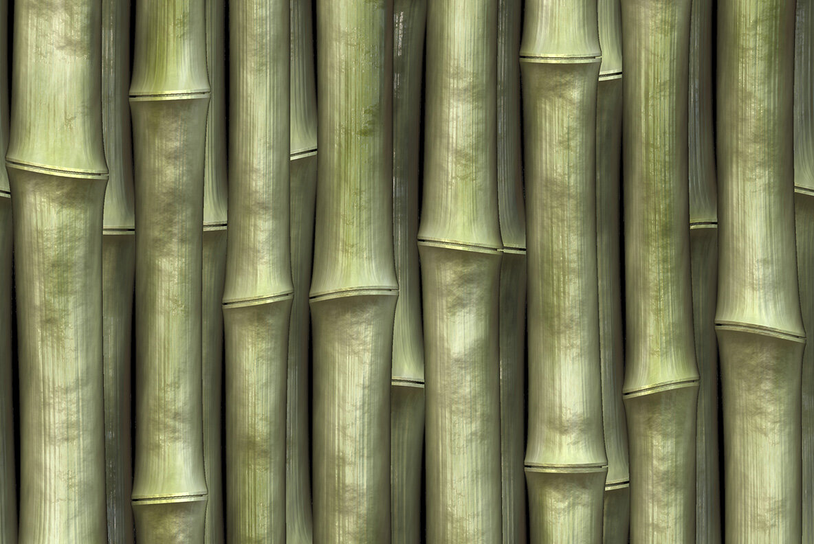 Bamboo Textures 9